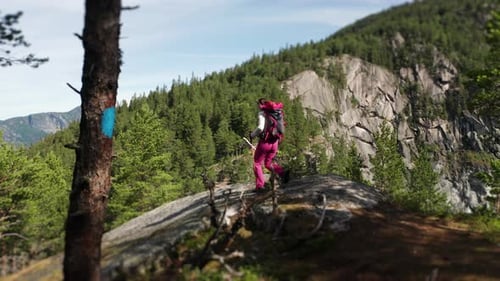 Peaks conqueror. A woman hiker with a backpack is stepping out of a forest and approaching a rocky s