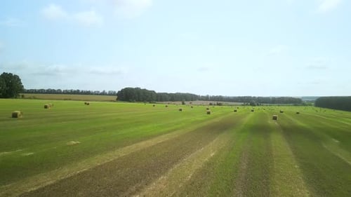 Round Hay Bales on the Green Field
