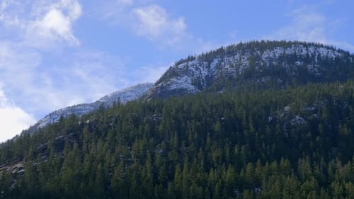 Dense Trees On The Mountain Slopes Under Blue Sky With White Clouds In Daytime. - low angle, static