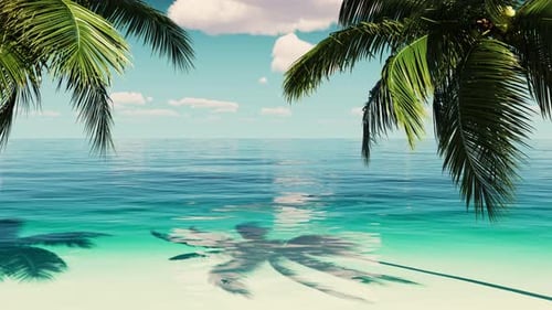 Vacation on a tropical island in the ocean with palm trees and sea.