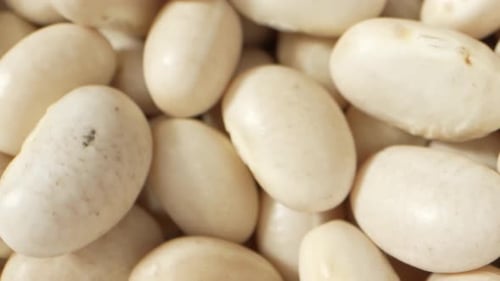Close Up of Fresh White Lima Beans