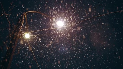View of Wa Street Lamps at Night with Heavy Snowfall Bad Weather