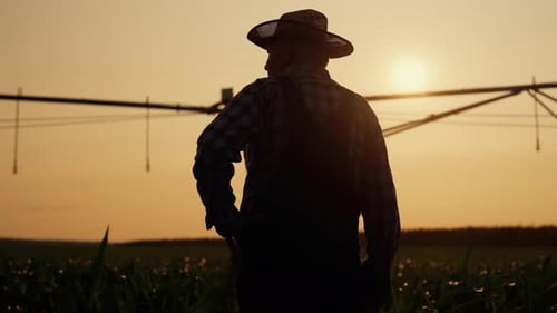 Silhouetted Farmer Overseeing Crops at Sunset