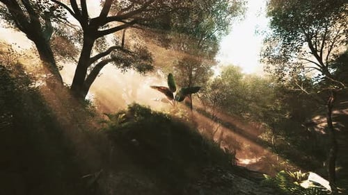 Sunlight Streaming Through Trees in a Lush Forest During Early Morning Hours