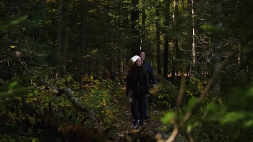 Young couple enjoying a carefree hike in a beautiful state forest landscape