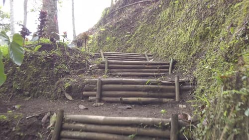 Climbing up old traditional wooden stairs in jungle. Exotic trekking route in Bali Indonesia. Advent
