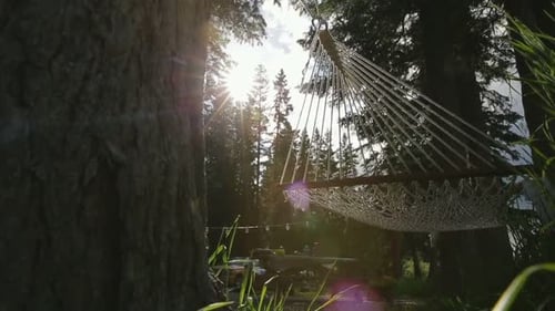 Hammock strung between trees at a camping site