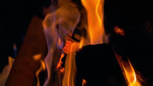Cam Fire