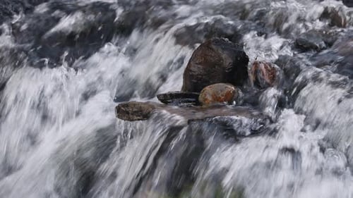 Steine, die von klarem Wasser, das im Gebirgsbach fließt, eingespült wurden