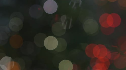 string of Christmas lights in the forest out of focus, in bokeh