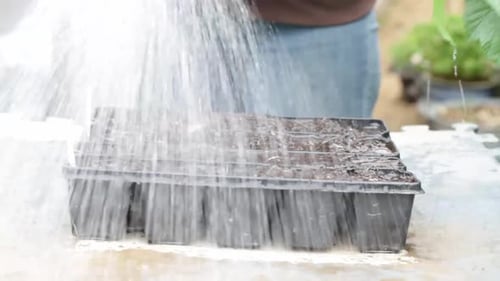 watering garden raised bed with water can with people stock video stock footage
