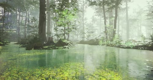 Serene Forest Landscape with Tranquil Water Reflection in Morning Light