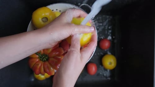 Lavar tomates orgánicos caseros en el fregadero negro