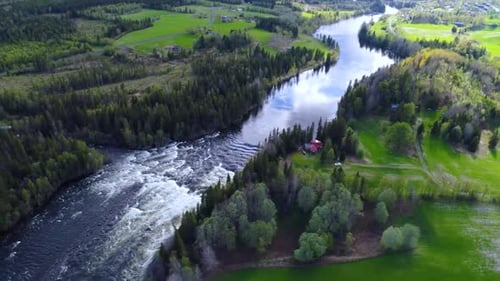 River | Forest | Drone