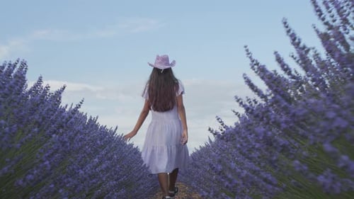 Teen girl walks by blooming lavender fields with blue lavender flowers on a summer day.