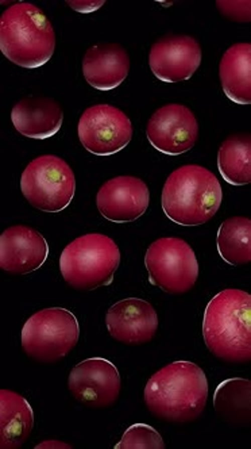 Vertical Floating Radishes on Alpha