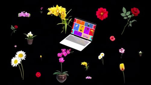 Moving animation of flowers. Transparent background and loop video.