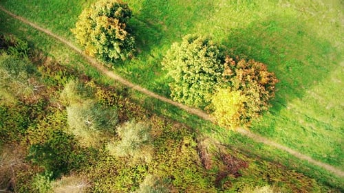 Vue aérienne du dessus sur une route droite avec une campagne colorée, une forêt d'automne. Vue aérienne au-dessus de Roa