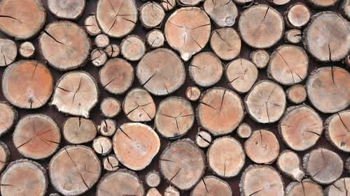 Antecedentes de cortes redondos de madera seca