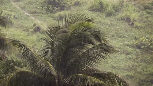 Hurricane storm in Caribbean with strong wind and rain