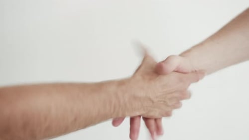 Professional Men Shaking Hands in Business Deal Agreement