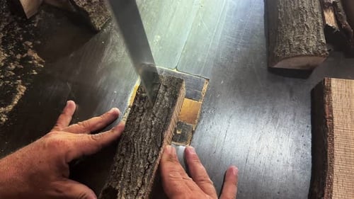 Man Cutting Wood Log With Sharp Saw