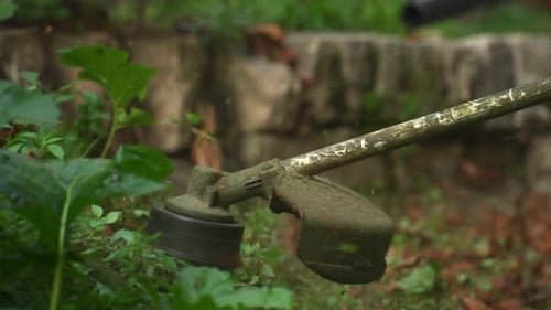 String Trimmer Cuts Weeds and Grass Outdoors