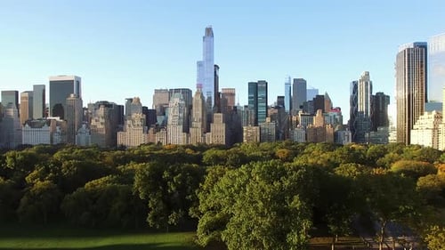 View of Central Park and NYC Skyline with Modern Architecture and Greenery From Above