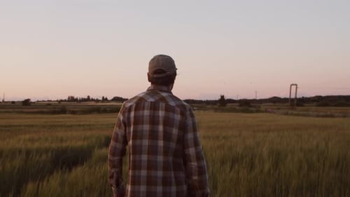 Farmer in Front of a Sunset Agricultural Landscape Man in a Countryside Field Country Life Food