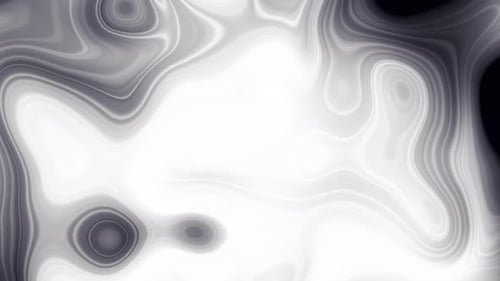 Abstract Monochrome Fluid Background Animation
