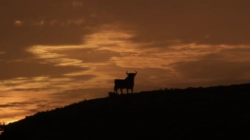 Iberian Ibex Silhouette at Golden Sunset