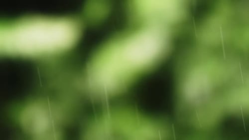 Diverse geography of Brazil cause variations in the intensity of rainfall