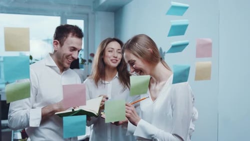 Teamwork and Collaboration in a Bright Modern Office