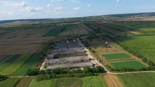 Flug über eine Biofarm, einen Kuhstall auf dem Land, Hangars, Milchkühe, biolandwirtschaftliche Felder aus der Luft