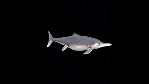 Realistic Ichthyosaur Swimming Prehistoric Marine Reptile Animation