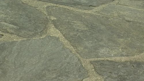 Close-up of a flagstone path.