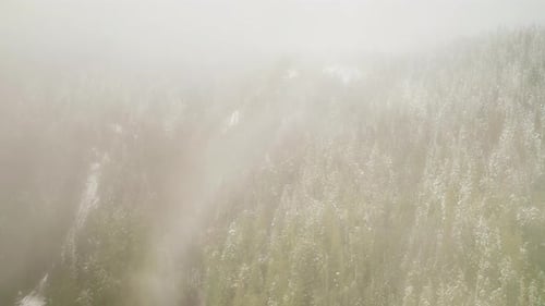 Flying Through Clouds And Fog Over Dense Forest With Snow In Winter In Olympic Peninsula, Washington