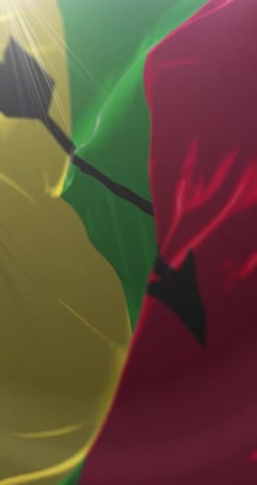 Neiva Capital City Flag