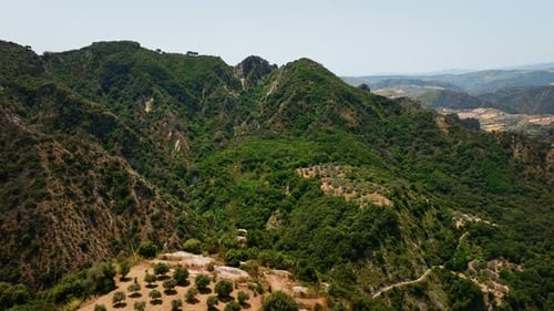 Flying Over The Green Summer Landscape