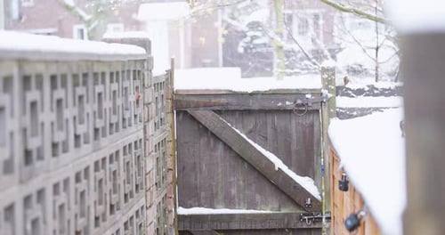 Frozen garden gate