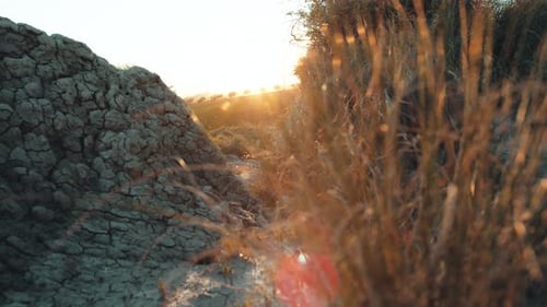 Golden Light on Cracked Earth and Dry Grass