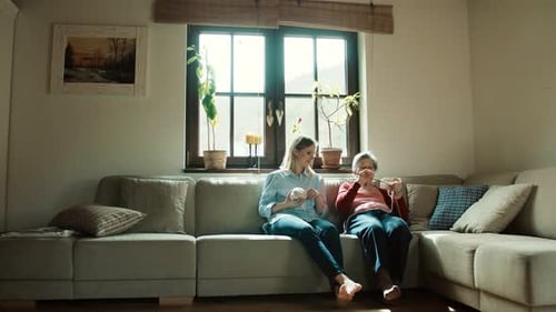 Woman and senior knitting together on living room couch