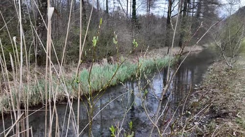 Blick auf einen schmalen Kanal, der durch dichten Wald führt.