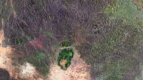 Luftaufnahme von Feuchtgebieten mit Sumpfbecken und Vegetationsmustern
