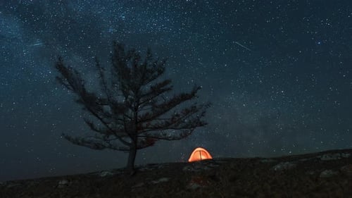 Tente orange sur la pente près d'un arbre isolé sous la Voie lactée en mouvement la nuit