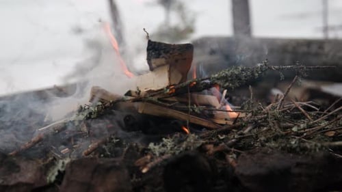 Campfire Flames Burning Wood and Twigs Outdoors