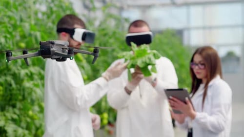 Agricultural Researchers Using Technology and Drone in Greenhouse