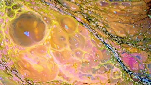 Abstract Texture Colorful Liquid Paint Background 42