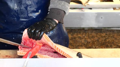 Fische für das weitere Garen reinigen