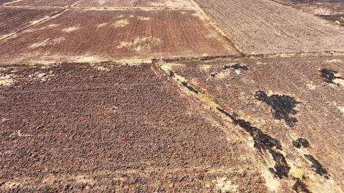 A field with a mix of dry, scorched earth and sparse areas of golden.